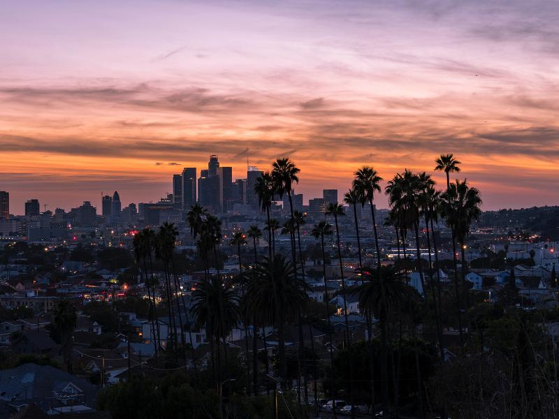 Los Angeles skyline with palm trees